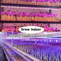 Lámpara de Cultivo para Azafrán, Lámpara LED de Espectro Completo para Cultivo Interior de Crocus, Cultivo en Invernadero
