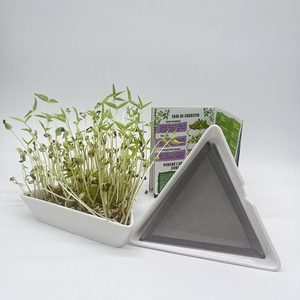 Bandejas de Cerámica para Germinación de Semillas, Bandejas de Cerámica para Plantas, Bandeja de Germinación para Cultivar Plántulas, Placa de Germinación Triangular - Product Image 3