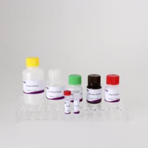 마이코 플라스마 보비스 항체 ELISA 키트 | 96T | CE 인증 | 소 혈청 검사 - Product Image 4