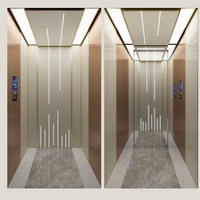 Lift Rumah Modern yang Dapat Disesuaikan untuk Vila, Sistem Penggerak Traksi Baja Tahan Karat. Tersedia Berbagai Warna Kapasitas 400kg untuk 2-3 orang