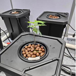 Système de tuyau en PVC NFT à canaux hydroponiques à haute efficacité pour la production commerciale de laitue - Product Image 5