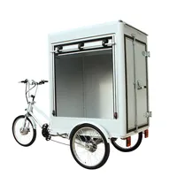Bicicleta eléctrica de carga pesada, triciclo de 3 ruedas, gran volumen