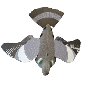 Leurres de <span class=keywords><strong>Pigeon</strong></span> émulationnels de vente chaude pour le tir de chasse leurre de <span class=keywords><strong>Pigeon</strong></span> volant floqué avec des ailes pour la décoration de jardin - Product Image 3