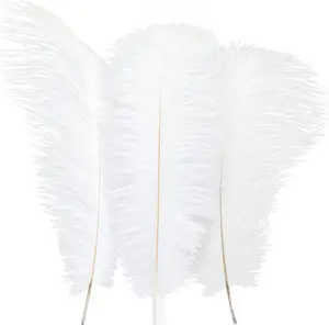 Plumas de avestruz naturales de 6-8 pulgadas para centros de mesa de boda, decoración del hogar, plumas de avestruz artesanales