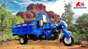 <strong>Myanmar</strong> Hot Selling <strong>Tricycle</strong> 250cc Three Wheel Motorcycle - Product Image 4