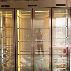 Refroidisseur de <span class=keywords><strong>vin</strong></span> personnalisé, style moderne hôtel Restaurant armoire <span class=keywords><strong>à</strong></span> <span class=keywords><strong>vin</strong></span> Cave réfrigérateur onduleur compresseur construit dans une grotte <span class=keywords><strong>à</strong></span> <span class=keywords><strong>vin</strong></span> de luxe - Product Image 2