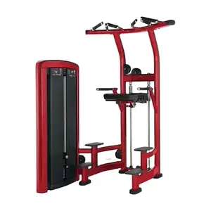 Avançado Muscle Strengthening Mastery: Alta qualidade CHIN e DIP Bar equipamentos para alvo Gym Precision