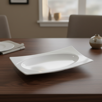 Assiette en mélamine opale blanche incassable et écologique pour hôtels et restaurants, idéale pour les événements - Vente en gros