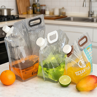 500ml 1L 2L Pochette de jus d'orange claire Stand up Spout Pouch Fruit Sauce Packaging Liquid Doypack