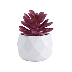 Petites plantes succulentes artificielles en <span class=keywords><strong>plastique</strong></span>, décorations de table de salon, fleurs artificielles durables, verdure - Product Image 5