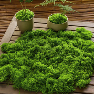 Plante artificielle en mousse filamentuse et moelleuse pour décoration de pot, aspect réaliste et naturel pour la maison, les mariages et les accessoires extérieurs - Product Image 3