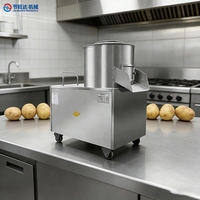 Machine à éplucher automatique commerciale pour patates douces et gingembre, petite machine domestique en acier inoxydable pour nettoyer et éplucher les pommes de terre