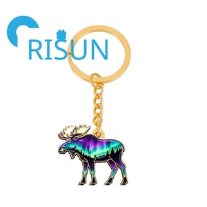 Llavero Metálico Personalizado con Holograma de Aurora Boreal, Recuerdo de Viaje de <span class=keywords><strong>Alaska</strong></span>, Islandia y Finlandia - Product Image 2