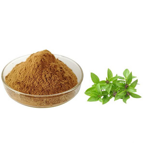 Poudre d'extrait de <span class=keywords><strong>basilic</strong></span> très vendue, extrait de feuille de <span class=keywords><strong>basilic</strong></span>, extrait de racine de <span class=keywords><strong>basilic</strong></span> 10:1 20:1 - Product Image 1