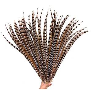 Pluma <span class=keywords><strong>de</strong></span> Cola <span class=keywords><strong>de</strong></span> Faisán Reeves Natural <span class=keywords><strong>de</strong></span> Alta Calidad para Decoración <span class=keywords><strong>de</strong></span> Carnaval 2024 - Product Image 2