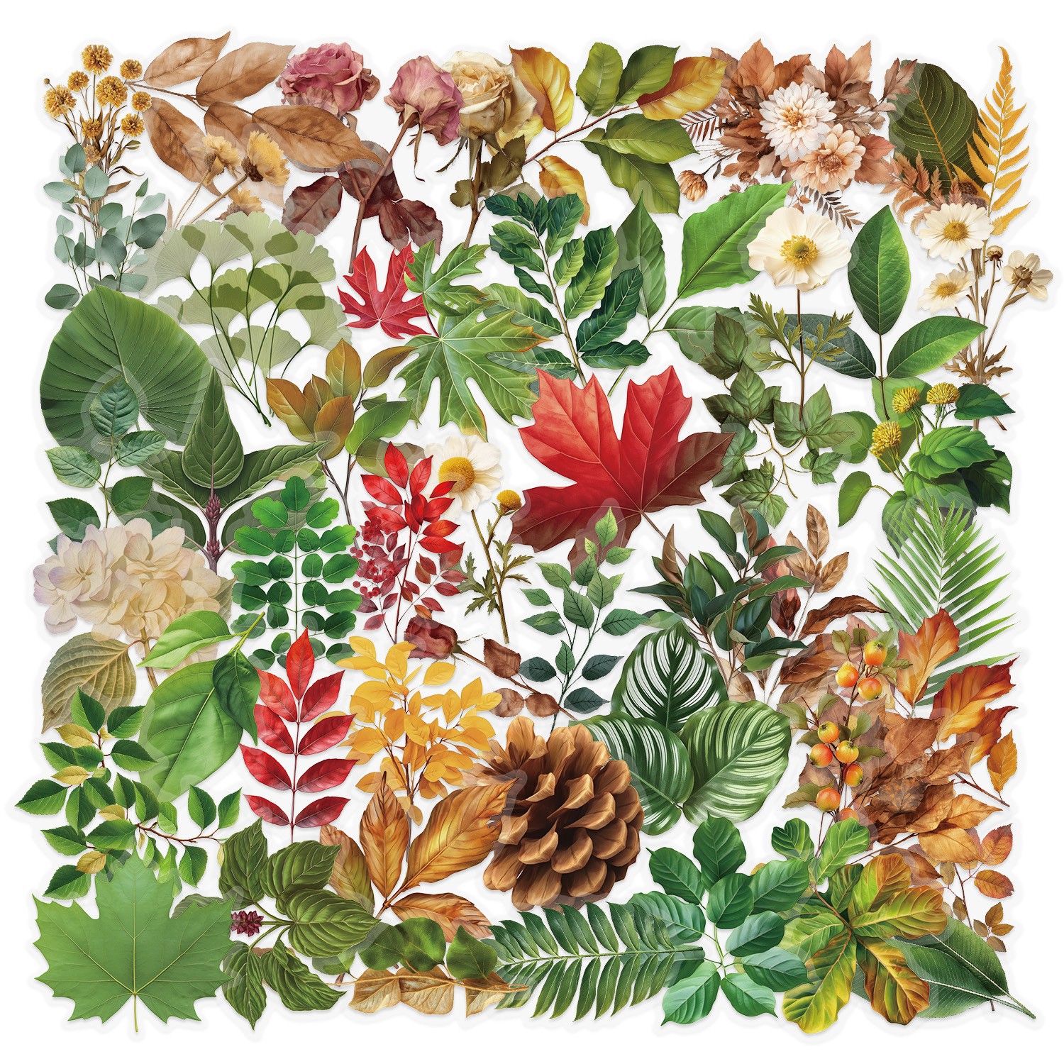 Autocollant Plante Verte 50pcs