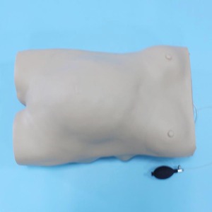 BIX-FW2 tiên tiến Máy Tính Phụ nữ mang thai thai thai kiểm tra mô hình BIX-FW2 cho bệnh trình diễn Y Tế công cụ giảng dạy - Product Image 3