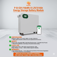 Système de batterie de secours domestique split 16,08 kWh 6 kW 51,2 V 314 Ah LiFePO4 avec onduleur hybride et communication CAN, commutation UPS 10 ms