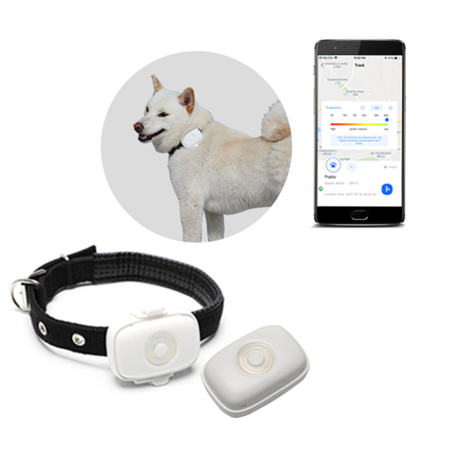 2023 New Customized 4G LTE WiFi GPS Tracking Board for OEM Animal Pet Tracker Tractive GPS Dog Tracker