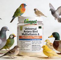 Poudre d'électrolytes universelle OEM/ODM pour oiseaux d'aviarium, soutien immunitaire, réapprovisionnement rapide en électrolytes pour une croissance saine des plumes