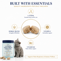 Complément alimentaire à la L-Lysine pour le soutien immunitaire des chats, santé respiratoire féline, comprimés à croquer à la lécithine, soins quotidiens, vente en gros
