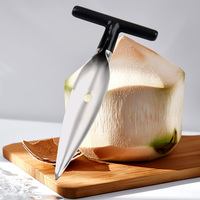 Spatule portable en acier inoxydable pour le perçage de noix de coco Couteau à noix de coco pour accessoires de cuisine