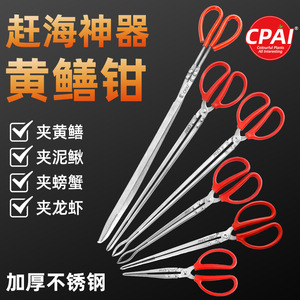 Pinces à anguilles en acier inoxydable épaissies antidérapantes pour la pêche au crabe et au homard, accessoires de pêche en mer et sur la plage - Product Image 3