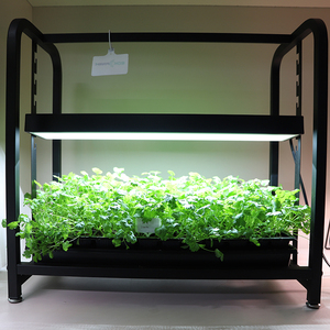 Support de plantes portable à 2 niveaux en métal, étagère de culture intérieure, lumière LED, hauteur réglable, roues mobiles, jardin hydroponique intelligent pour herbes - Product Image 3