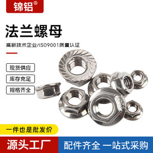 Écrou à bride M8 à tête hexagonale en acier inoxydable 304 antidérapant pour connecteurs d'assemblage de profilés en aluminium - Product Image 2