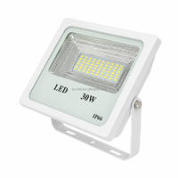Projecteurs LED blancs 30 W IP66 étanches pour jardin, angle de faisceau 120° - Vente directe usine
