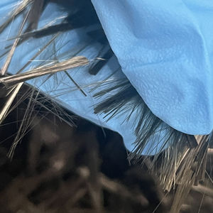 22um fibra de basalto tajada alta dispersión monofilamento de fibra de basalto <span class=keywords><strong>picado</strong></span> para <span class=keywords><strong>asfalto</strong></span> - Product Image 2