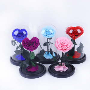 <span class=keywords><strong>Rosa</strong></span> <span class=keywords><strong>Eterna</strong></span> Preservada en Cúpula <span class=keywords><strong>de</strong></span> Cristal, <span class=keywords><strong>La</strong></span> <span class=keywords><strong>Bella</strong></span> <span class=keywords><strong>y</strong></span> <span class=keywords><strong>la</strong></span> <span class=keywords><strong>Bestia</strong></span>, Regalo para el Día <span class=keywords><strong>de</strong></span> <span class=keywords><strong>la</strong></span> Madre - Product Image 3