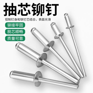 Baolian Blind Rivets Aluminum M3.2 M4 M5 M6 Round Head Pull Rivets High Safety Level Manual Riveting Machine Use - Product Image 1