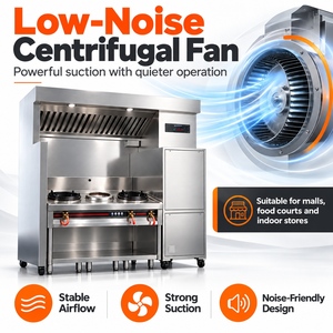 Système de purification des fumées sans conduit pour cuisines commerciales, idéal pour les woks Kwali, les cuisinières, les friteuses, les plaques de cuisson, les grilles à steak - Meilleure vente - Certifié CE - Product Image 1