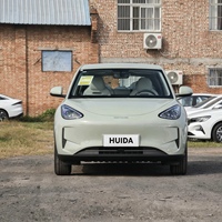 Nouvelle Énergie 2025 pour Xingyuan SUV Compact 4 Portes, Véhicule Électrique Pur, Autonomie 310 km, 5 Places, Version Jeunesse, Vente en Gros Mondiale
