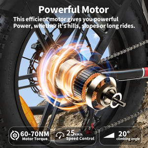 Bicicleta de Alto Rendimiento Modelo BURCHDA U8 48V31.5Ah 20 Pulgadas con Pantalla Inteligente 5 PAS 70 Nm Europa U8 Batería de Largo Alcance 31.5 - Product Image 2