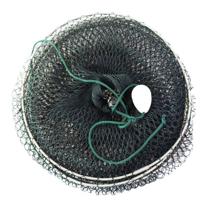 New Product With Factory Price Fish