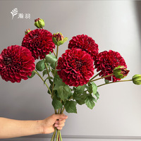 Fleur de Dahlia Corail à 2 Têtes Hydratante pour Mariage, Décoration Extérieure et Aménagement Paysager - Vente en Gros Transfrontalière