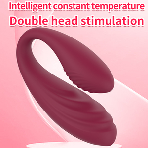 Nuevo estilo App Control remoto Usable Vibrador Masaje 11 Conversión de frecuencia Vibración Caja de juguetes sexuales para mujeres - Product Image 2