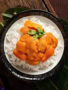 Riccio di Mare Fresco Surgelato di Alta Qualità al Miglior Prezzo, Prodotti Ittici Freschi Premium - Product Image 2