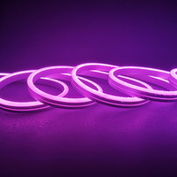 Kit 5 m/rouleau modifié Gel de silice PVC 12v 5*11mm 2.5cm coupe bande flexible 2.5cm néon LED lettre signes Silicone IP67 décoration extérieure