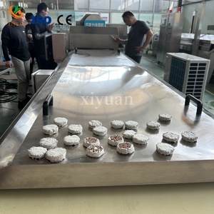 Otomatik Ayarlanabilir Hızlı Soğutma Özelleştirilebilir Çikolata Soğutma Tüneli Ekipmanı Kaplamalı Kurabiyeler İçin - Product Image 4