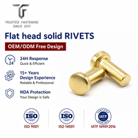 Rivets plats personnalisés TianFang pour les joints de châssis d'appareils électroménagers, en acier zingué, conception OEM ODM et approvisionnement en gros, devis rapide