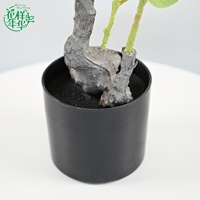 Plante artificielle 70 cm, pivoine rouge et camélia, pour décoration intérieure, mariage, réaliste