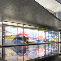 Películas LED Transparentes Flexibles para Exhibición en Ventanas, Nueva Pantalla LED Transparente Flexible para Animación en Centros Comerciales