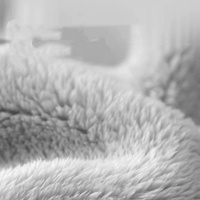 Großhandel Einfarbiges Samt-Hundebett Modern Abnehmbar Waschbar Atmungsaktiv Komfortabel Polyesterfaser-Füllung für Große Hunde
