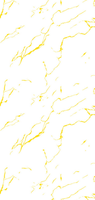 Panneau mural de salle de bain en PVC 1000mm*10mm Dryland Flame Yang Gold
