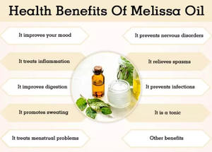 アロマセラピー用レモンバームエキス100% ピュアナチュラルメリッサエッセンシャルオイル - Product Image 3