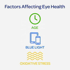 Integratore per Occhi OEM con Vitamine al Mirtillo, Estratto di Luteina, Zeaxantina, Gommose Esterificate per la Cura degli Occhi e il Relax - Product Image 4