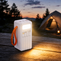 Batterie externe de camping en plein air 100000mAh grande capacité avec câble intégré, chargeur portable durable, charge rapide PD 22.5W, affichage LED